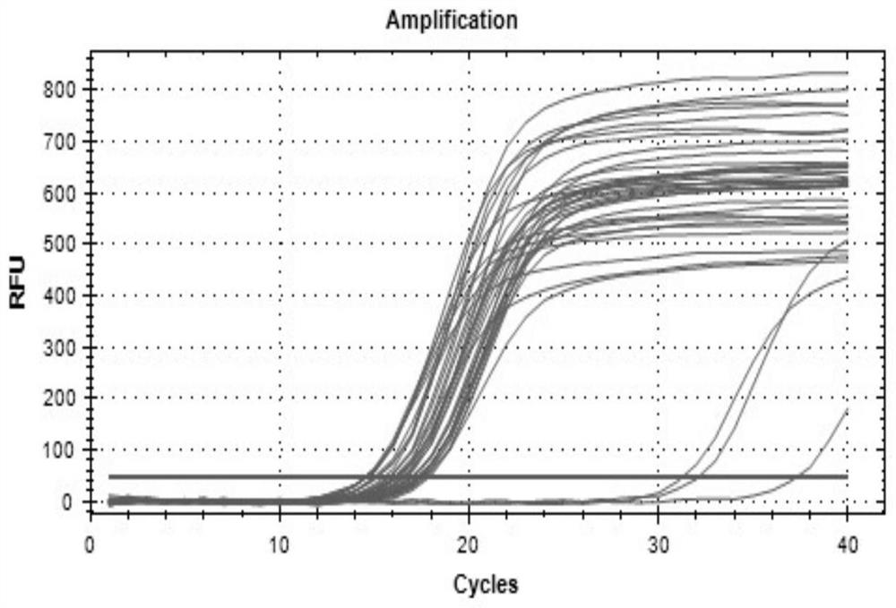 Cell line stably expressing African swine fever virus p54 protein and its preparation and application