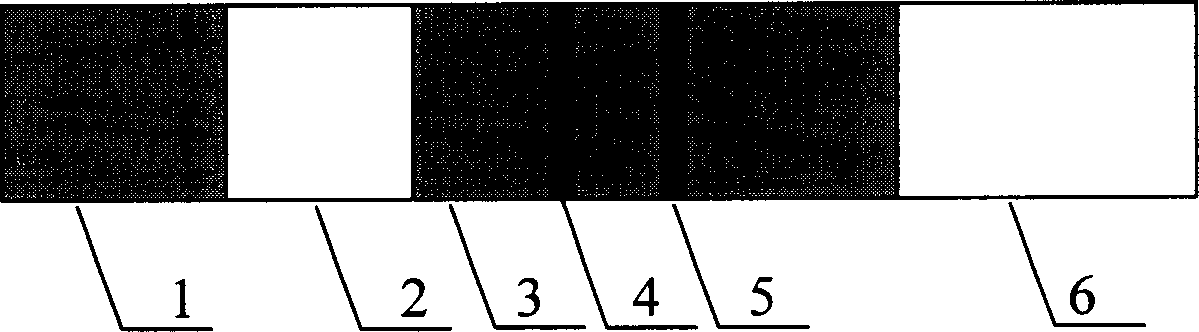 Test paper for lateral flow immunochromatographic semi-quantitative detection of ractopamine