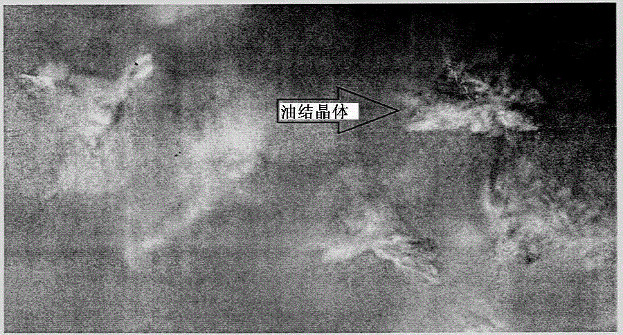 Soybean oil and thymus mongolicus oil based gel oil and preparation method thereof