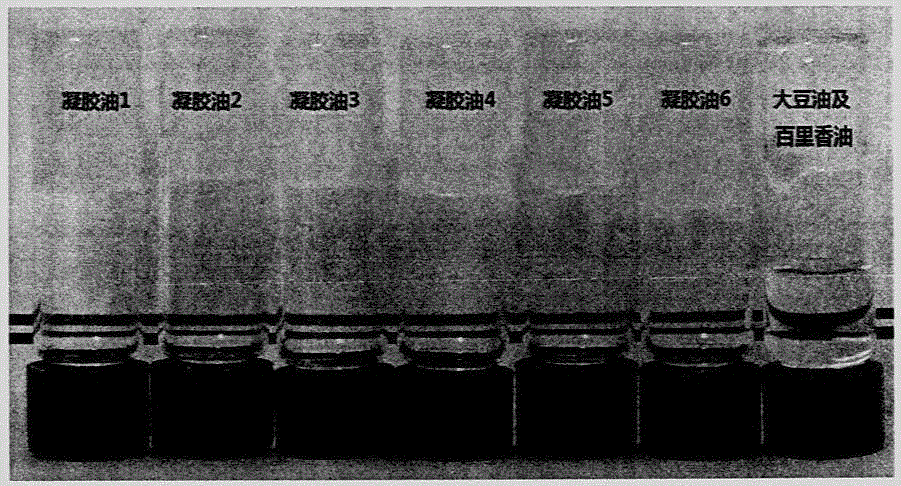 Soybean oil and thymus mongolicus oil based gel oil and preparation method thereof