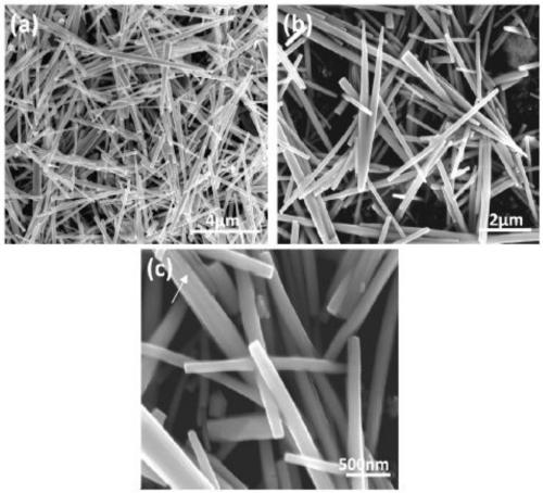 Papaya ferment composition for assisting severe patients to enhance digestion and absorption functions, preparation method thereof and composite nano preparation