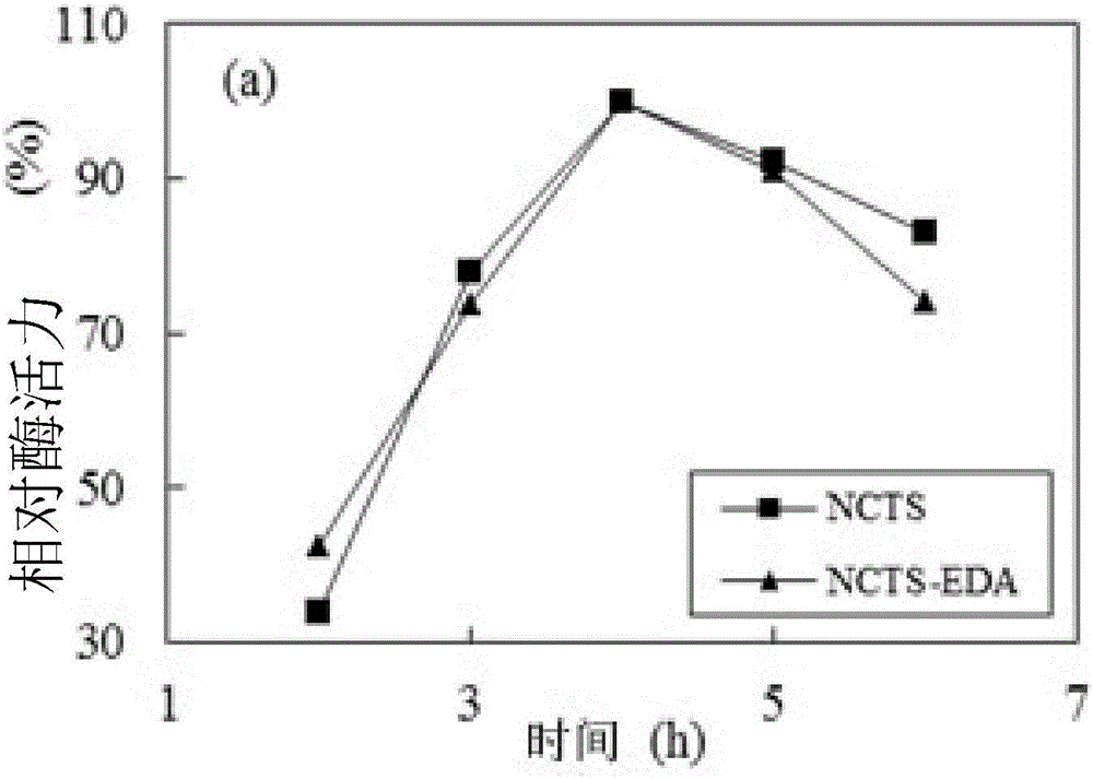 Chitosan microspheres for enzyme immobilization and preparation method and application thereof