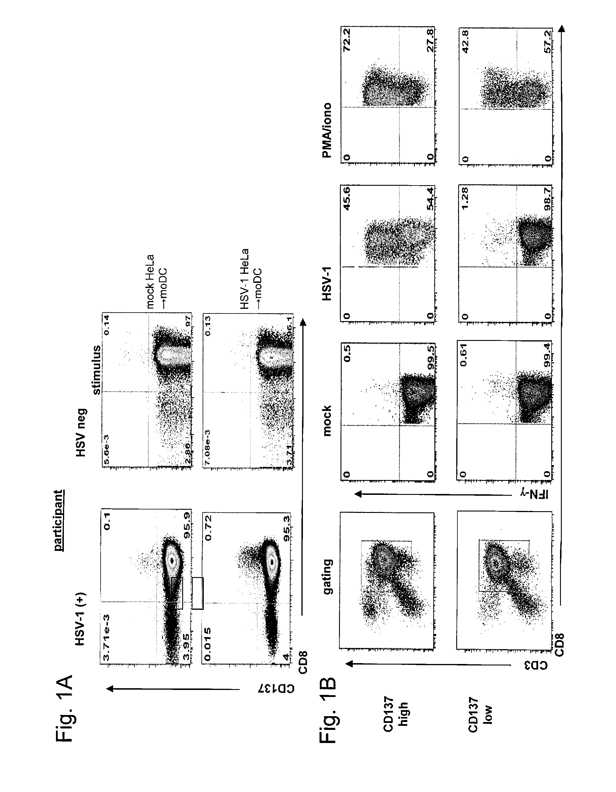 Hsv-1 epitopes and methods for using same