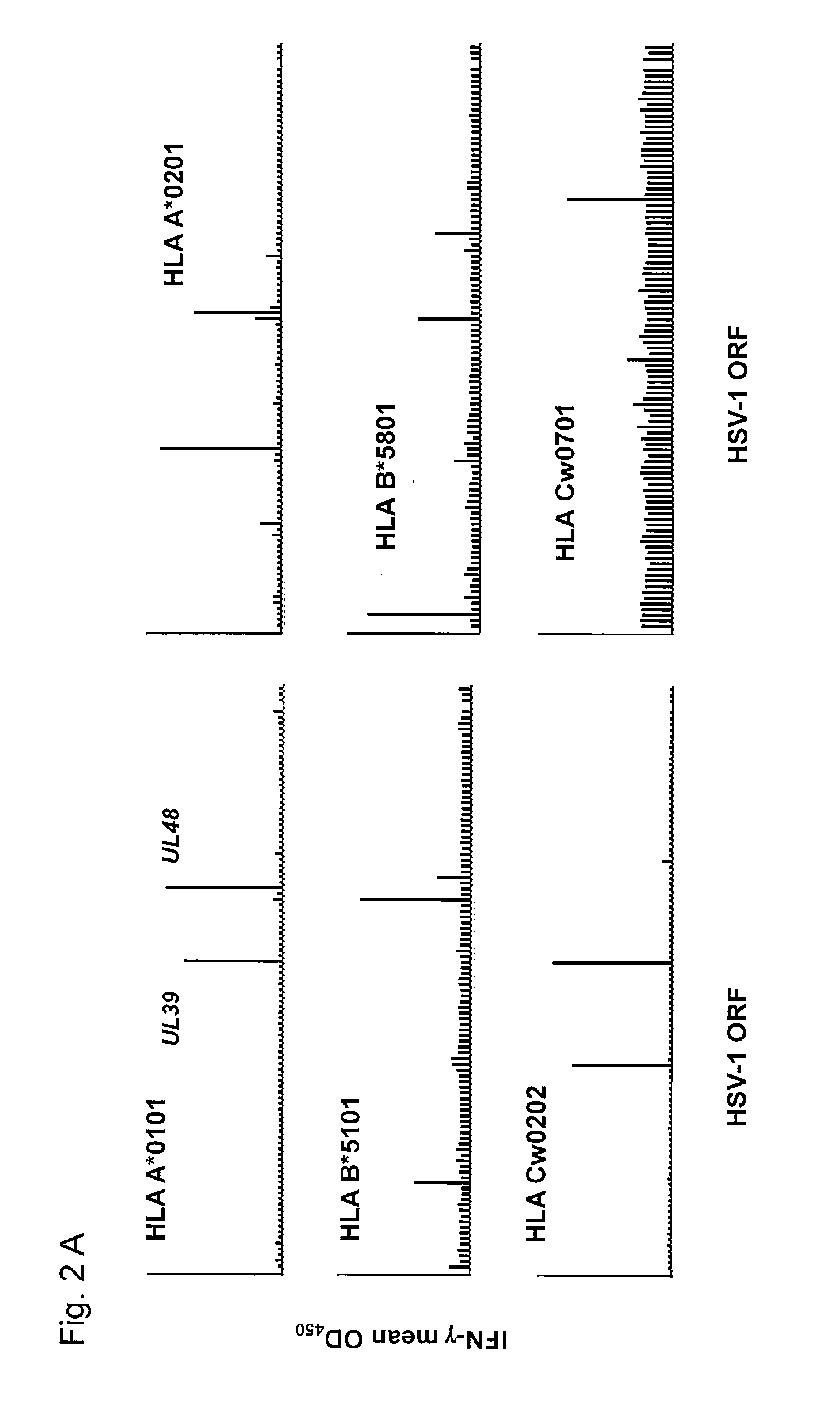 Hsv-1 epitopes and methods for using same