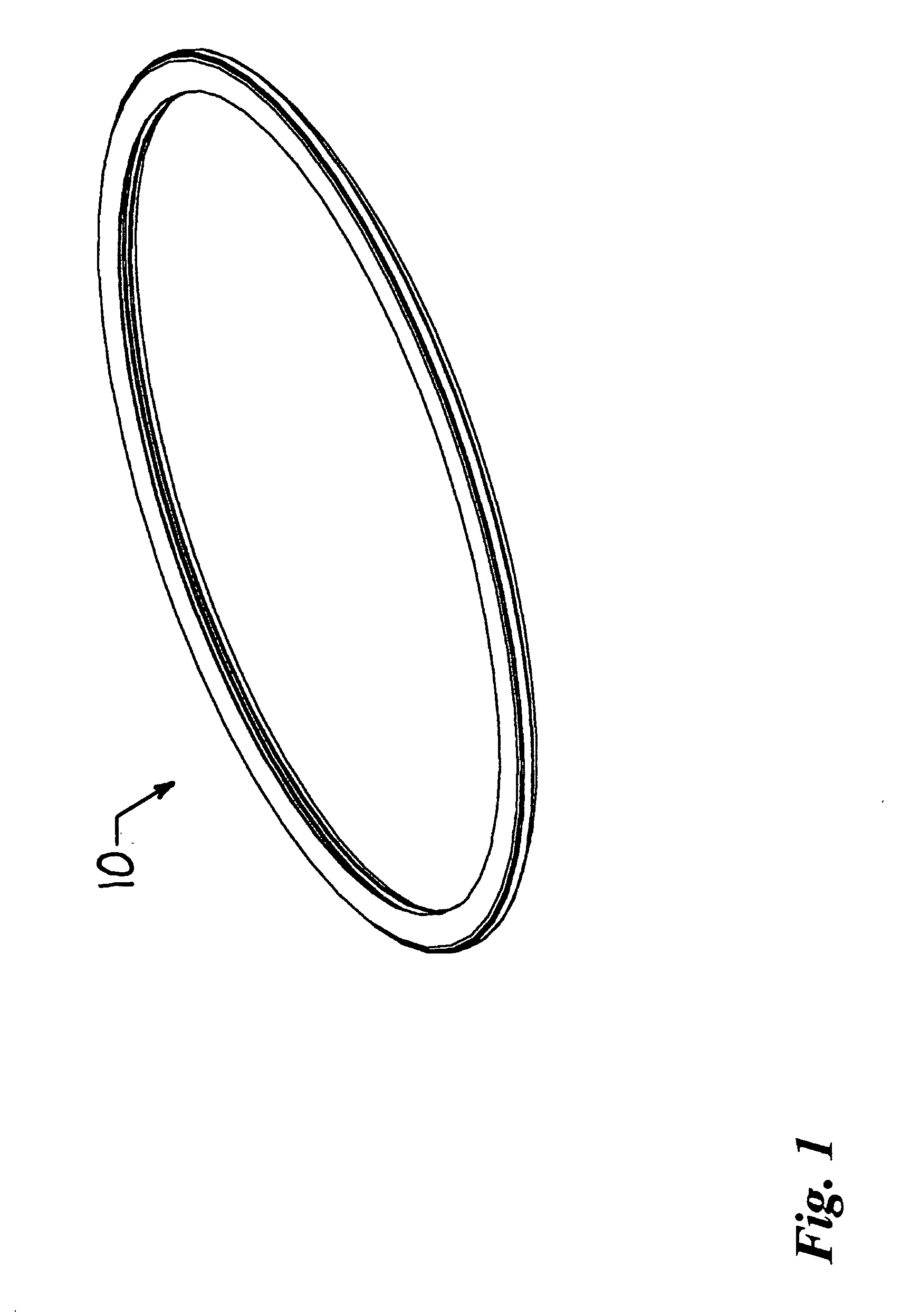 Hoop-type amusement device