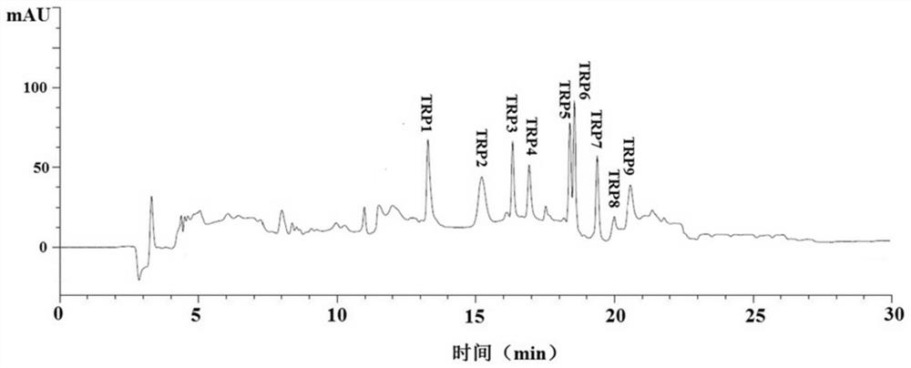 Tuna roe dipeptidyl peptidase IV (DPP-IV) inhibition oligopeptide