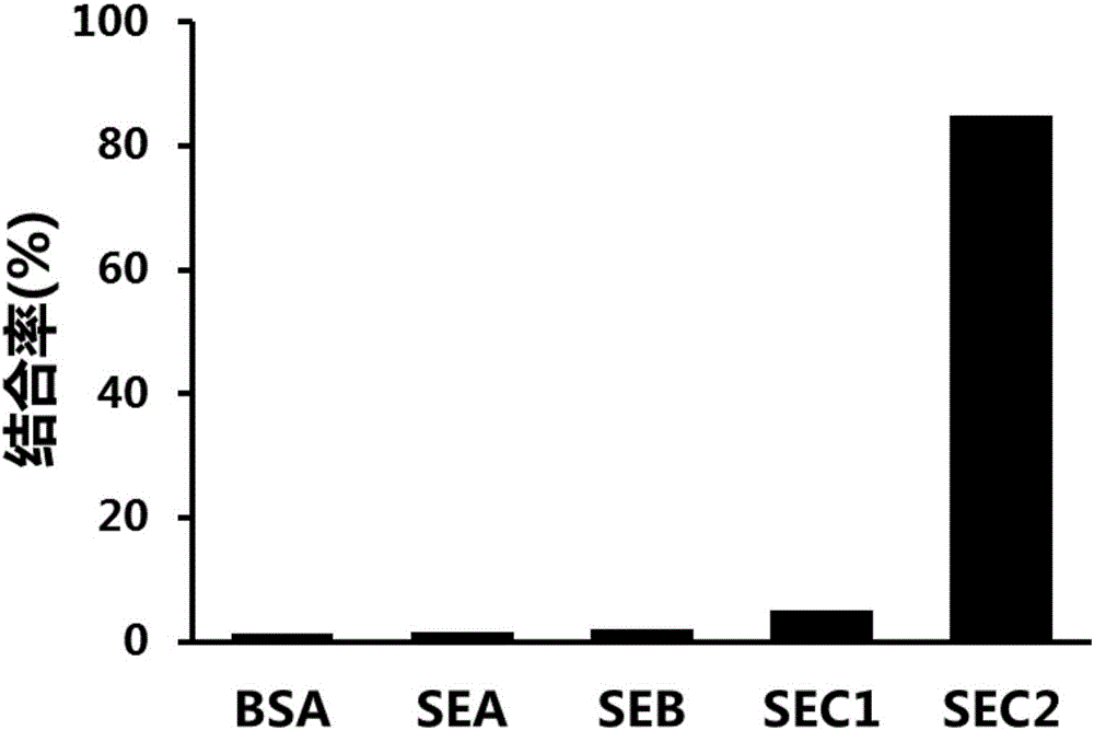 Aptamer C201 of staphylococcal enterotoxin C2 as well as screening method and application of aptamer C201