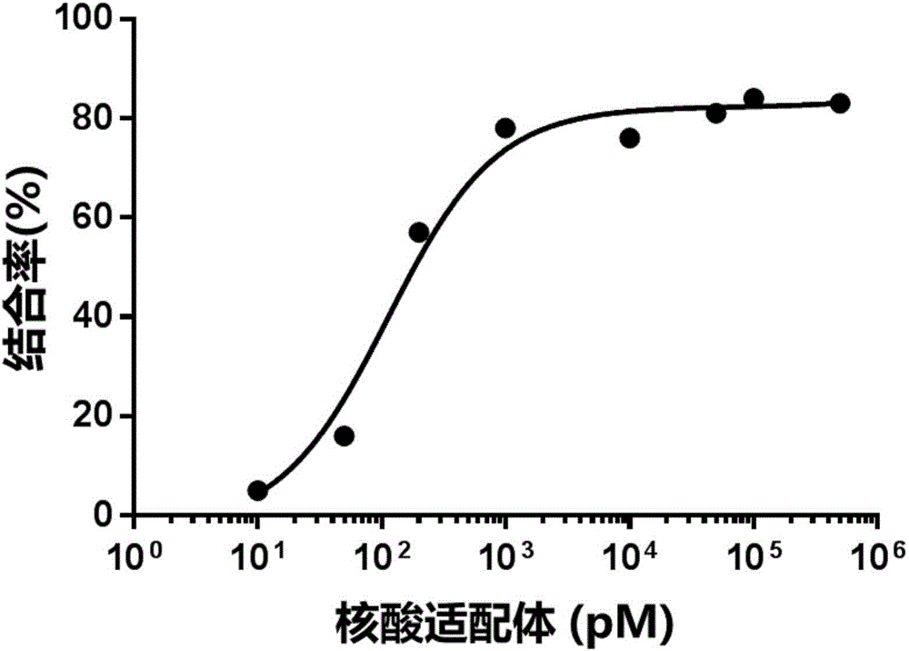 Aptamer C201 of staphylococcal enterotoxin C2 as well as screening method and application of aptamer C201