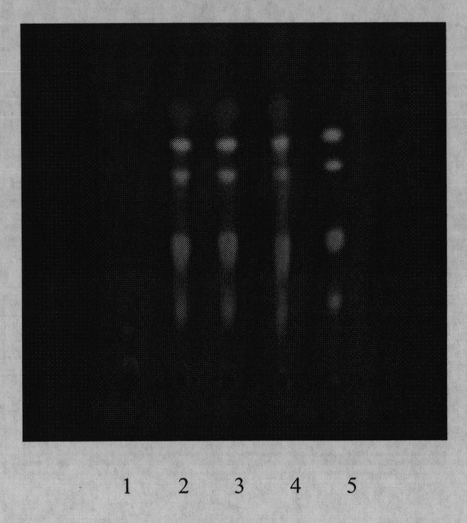 Detection method of haemostasis medicine