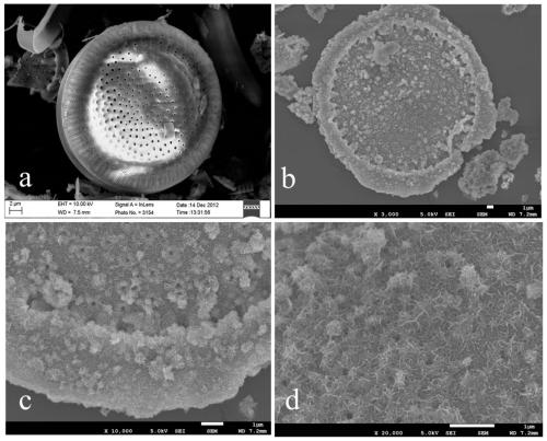 A kind of preparation method of diatomite/magnesium ferrite composite material