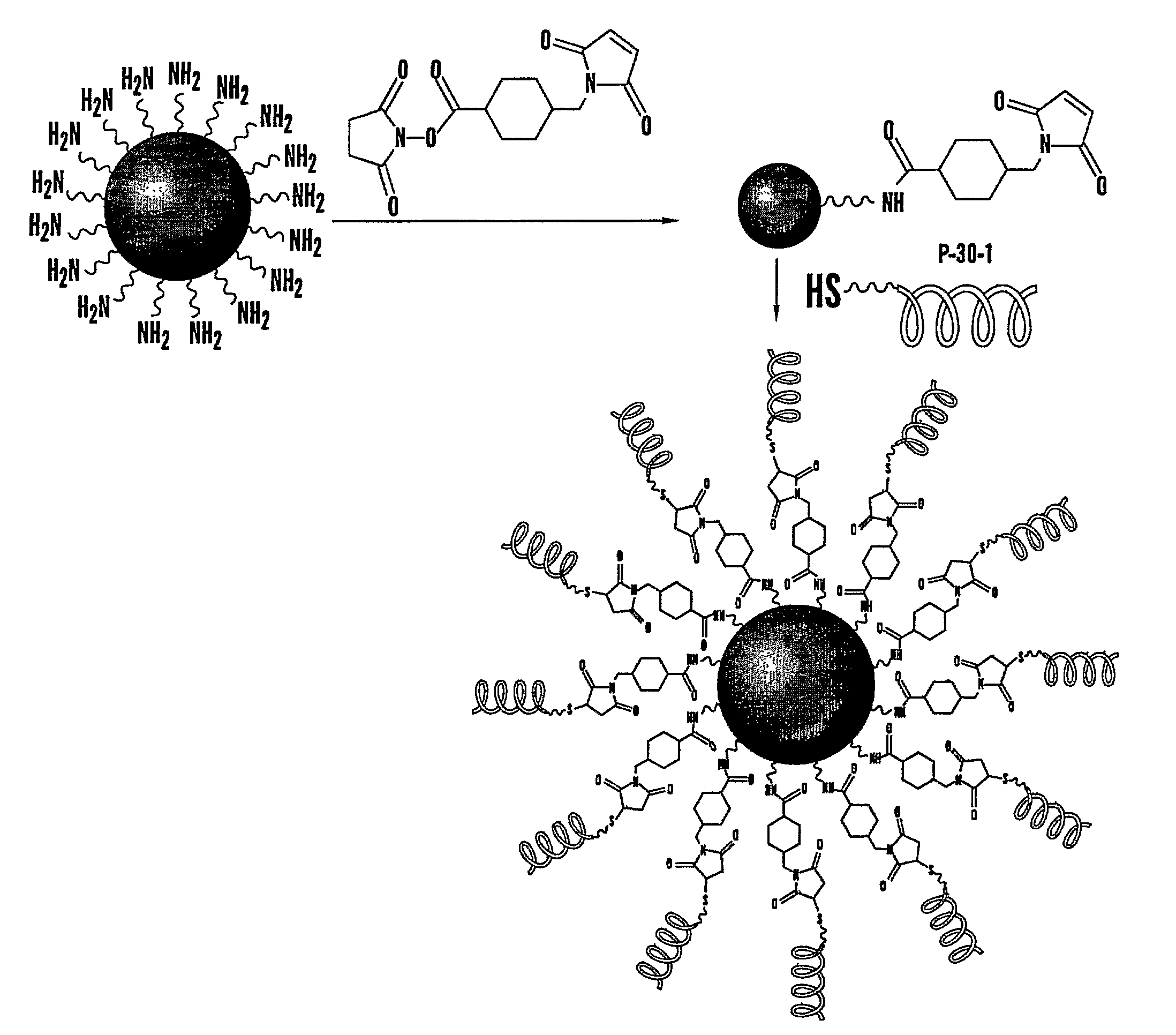 Nanocells for Diagnosis and Treatment of Diseases and Disorders