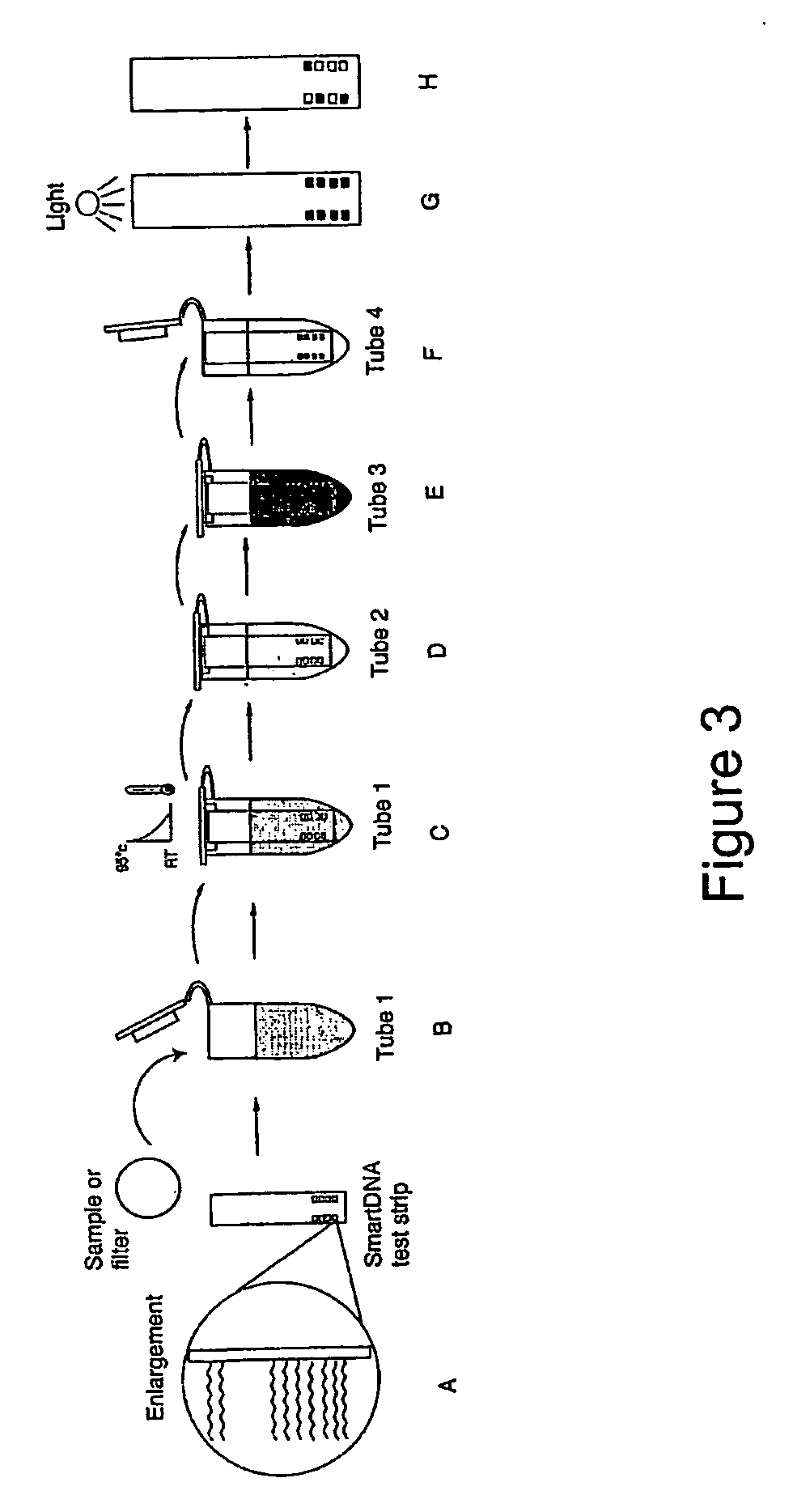 System for detecting polynucleotides