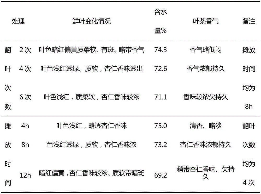 Wrinkled papaya leaf tea and preparing method thereof