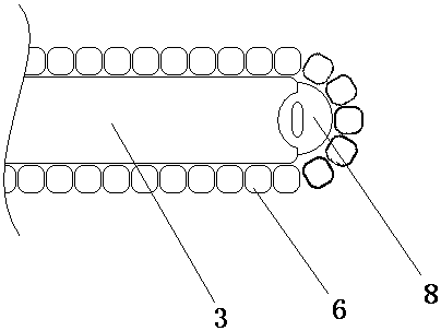 An insulation and heat dissipation device for high and low voltage coils