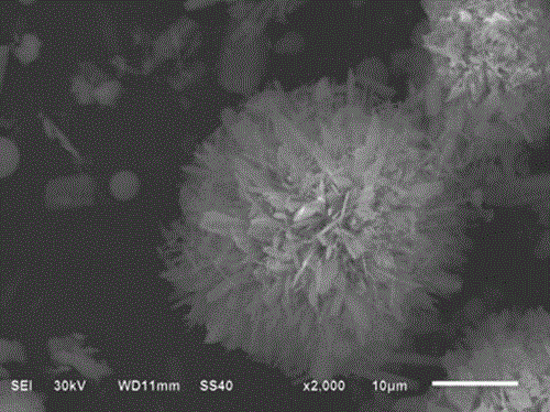 Preparation method and application of SbPO4 microsphere