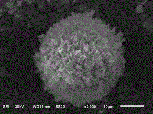 Preparation method and application of SbPO4 microsphere