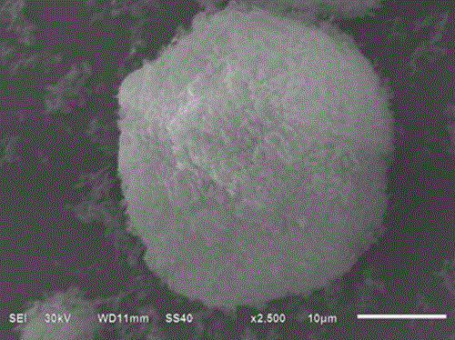 Preparation method and application of SbPO4 microsphere