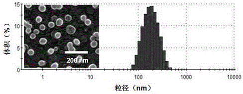 Amphiphilic targeting nanomaterial as well as nano preparation and application thereof