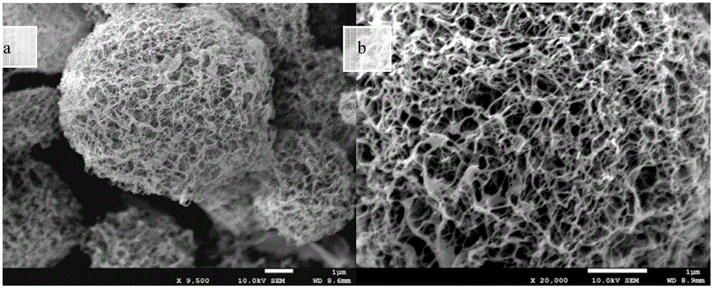 Technique for preparing cellulose nano fiber aerogel microspheres by ultrasonic atomization