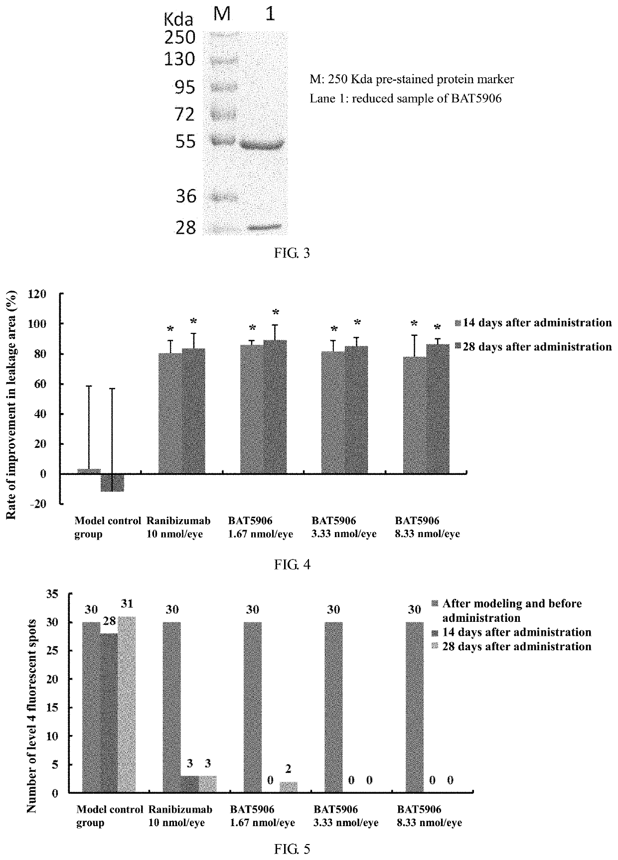 Long-acting and low-toxic recombinant Anti-vegf humanized monoclonal antibody and production method therefor