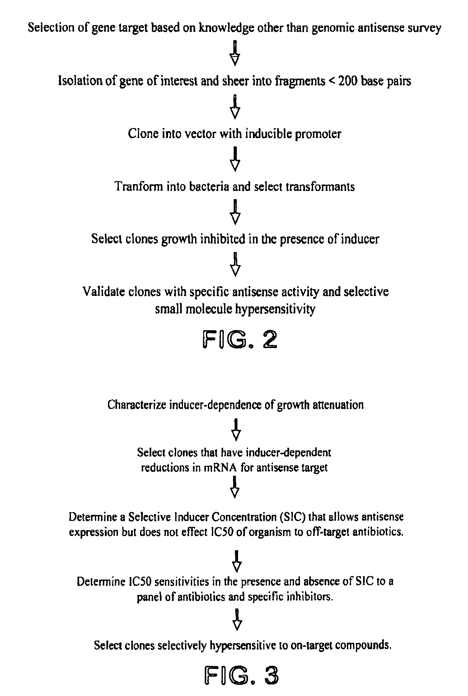 Method for identifying drug-sensitizing antisense DNA fragments and use thereof