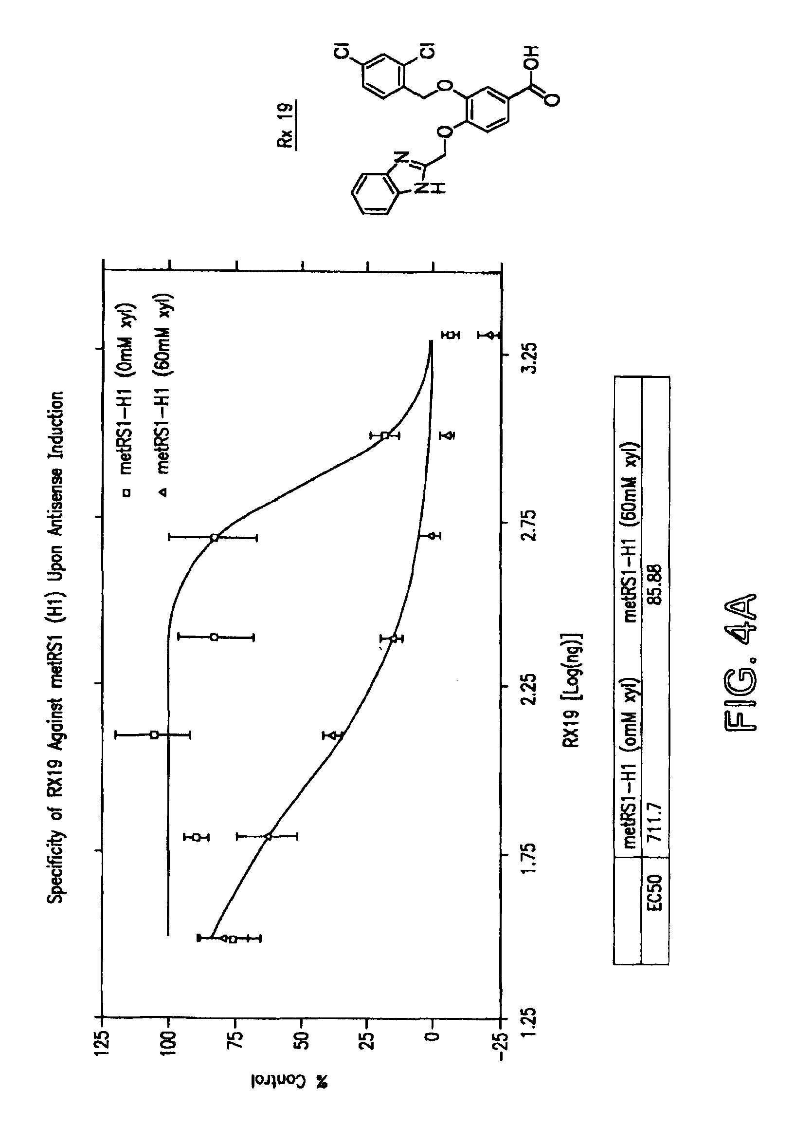 Method for identifying drug-sensitizing antisense DNA fragments and use thereof