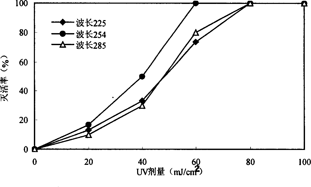 Method for killing chironomus larvas by ultraviolet light