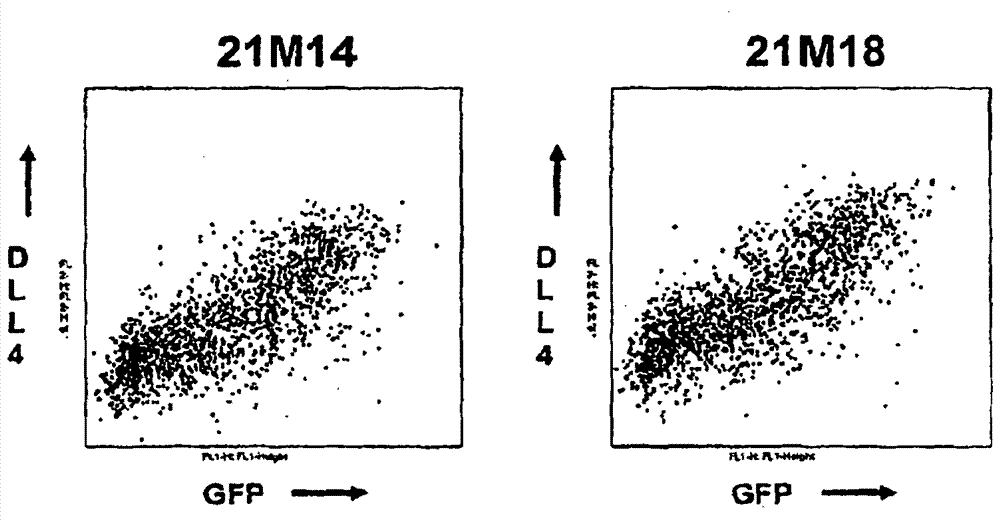 Compositions and methods for diagnosing and treating cancer