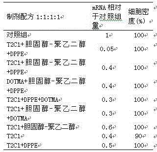 Composition comprising macrocyclic ester compound and siRNA and preparation method thereof