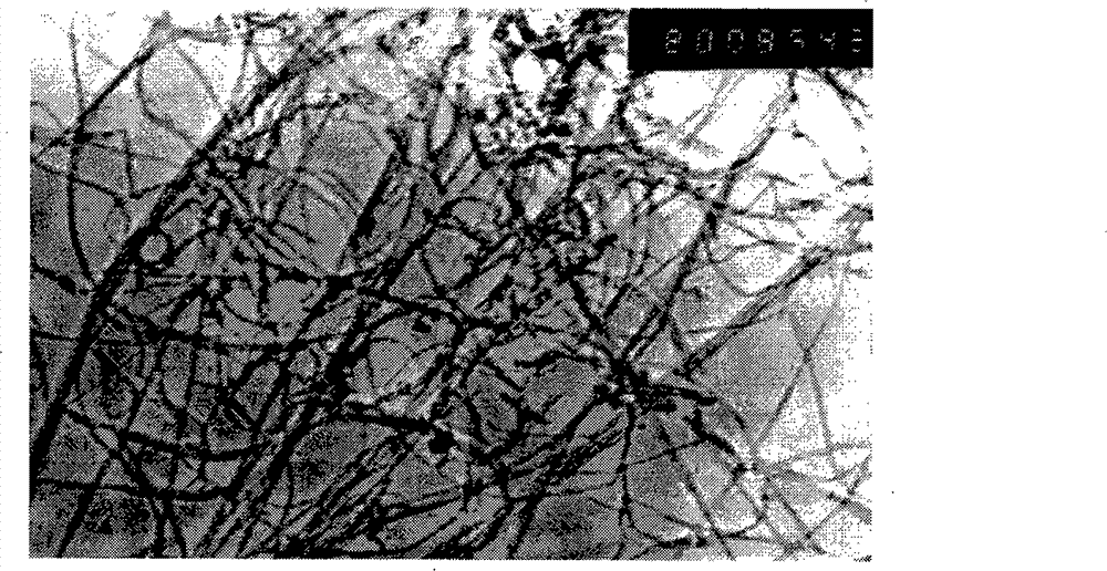 Method for removing amorphous carbon in carbon nanotubes