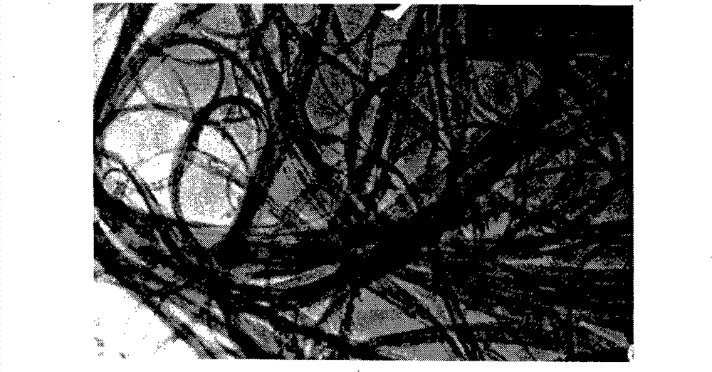 Method for removing amorphous carbon in carbon nanotubes