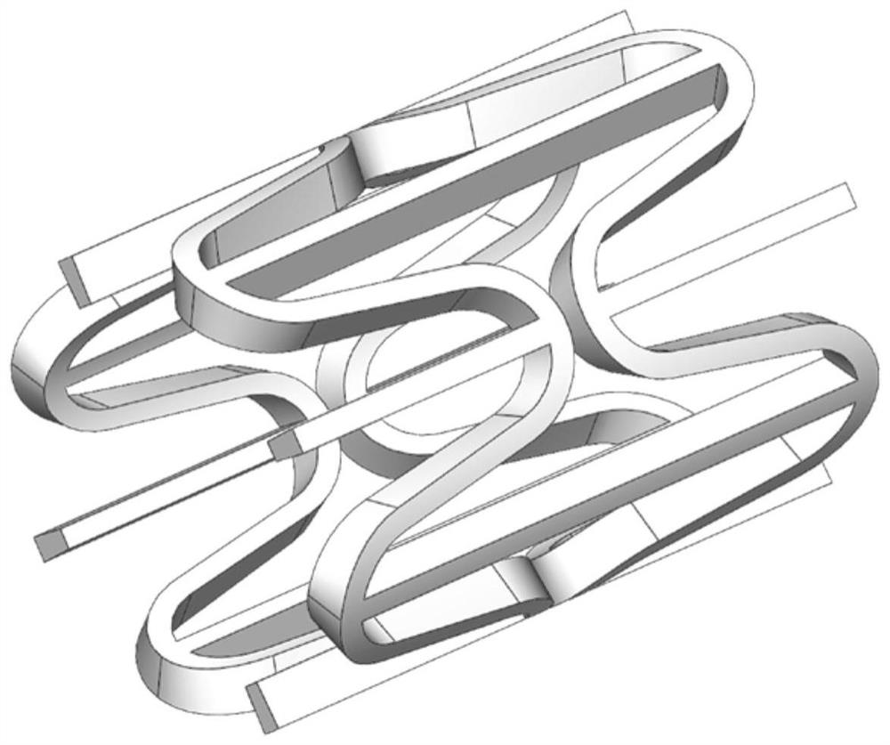 A Negative Poisson's Ratio Degradable Vascular Stent Structure