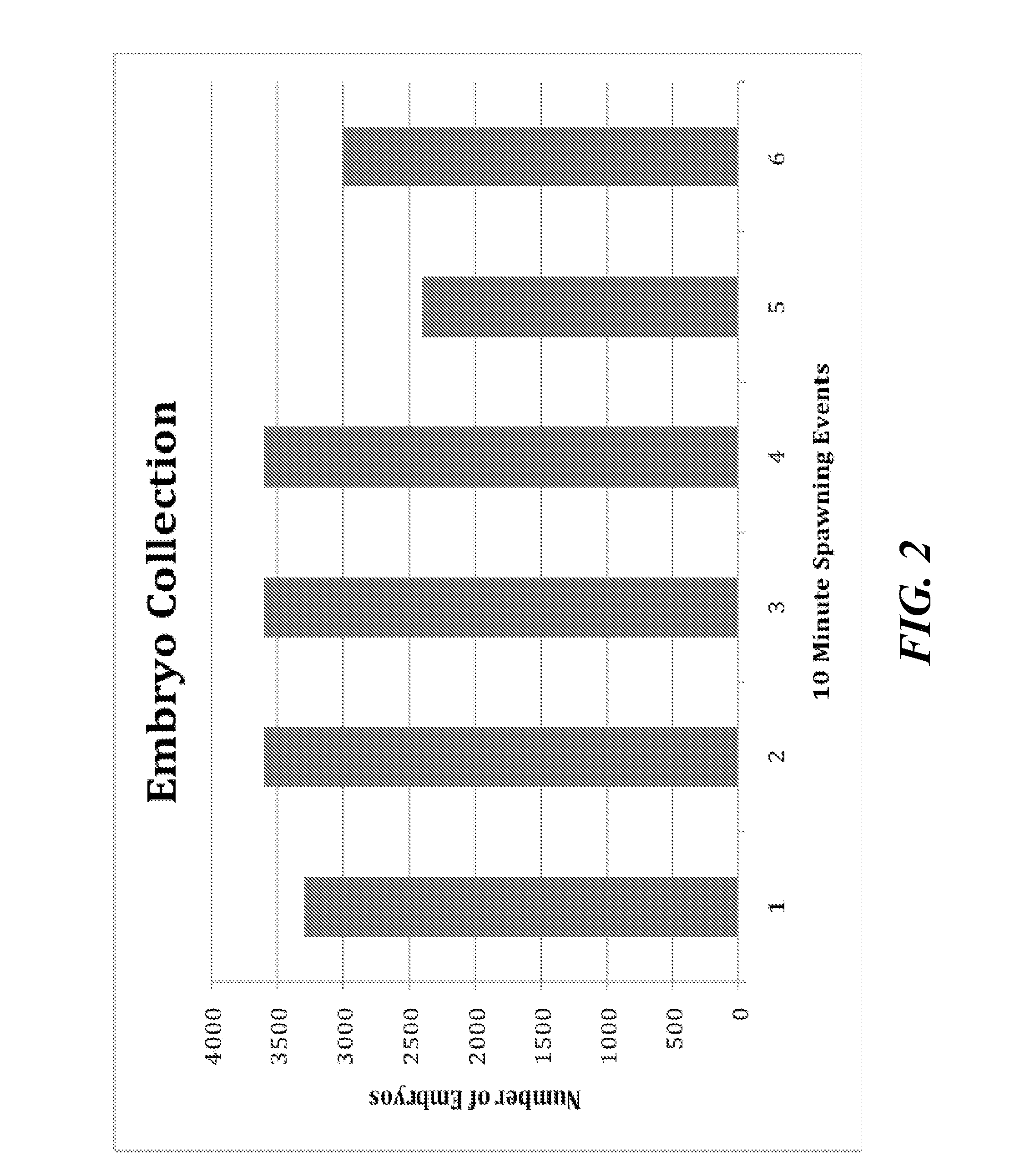 Method and System for Mass Production of Fish Embryos