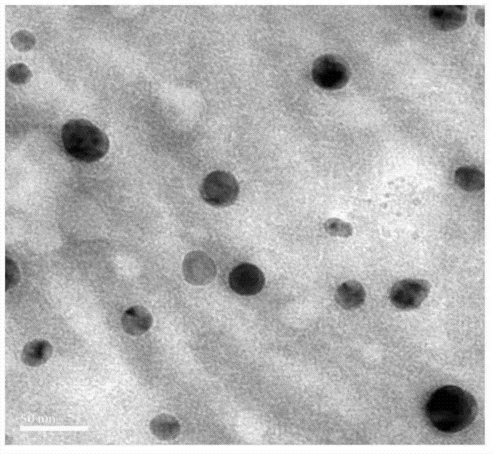 Berberine hydrochloride solid lipid nano preparation and preparation method thereof