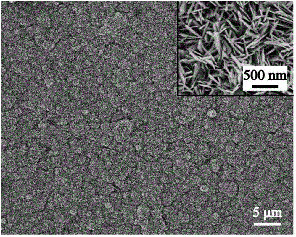 Hydroxyapatite/chitosan composite coating and preparation method thereof