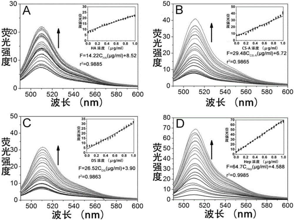 Application of high-positive-charge fluorescent protein in glycosaminoglycans (GAGs) and analogues of GAGs