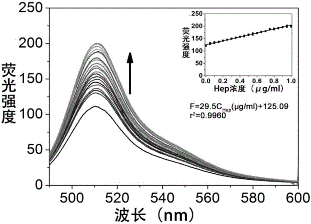 Application of high-positive-charge fluorescent protein in glycosaminoglycans (GAGs) and analogues of GAGs