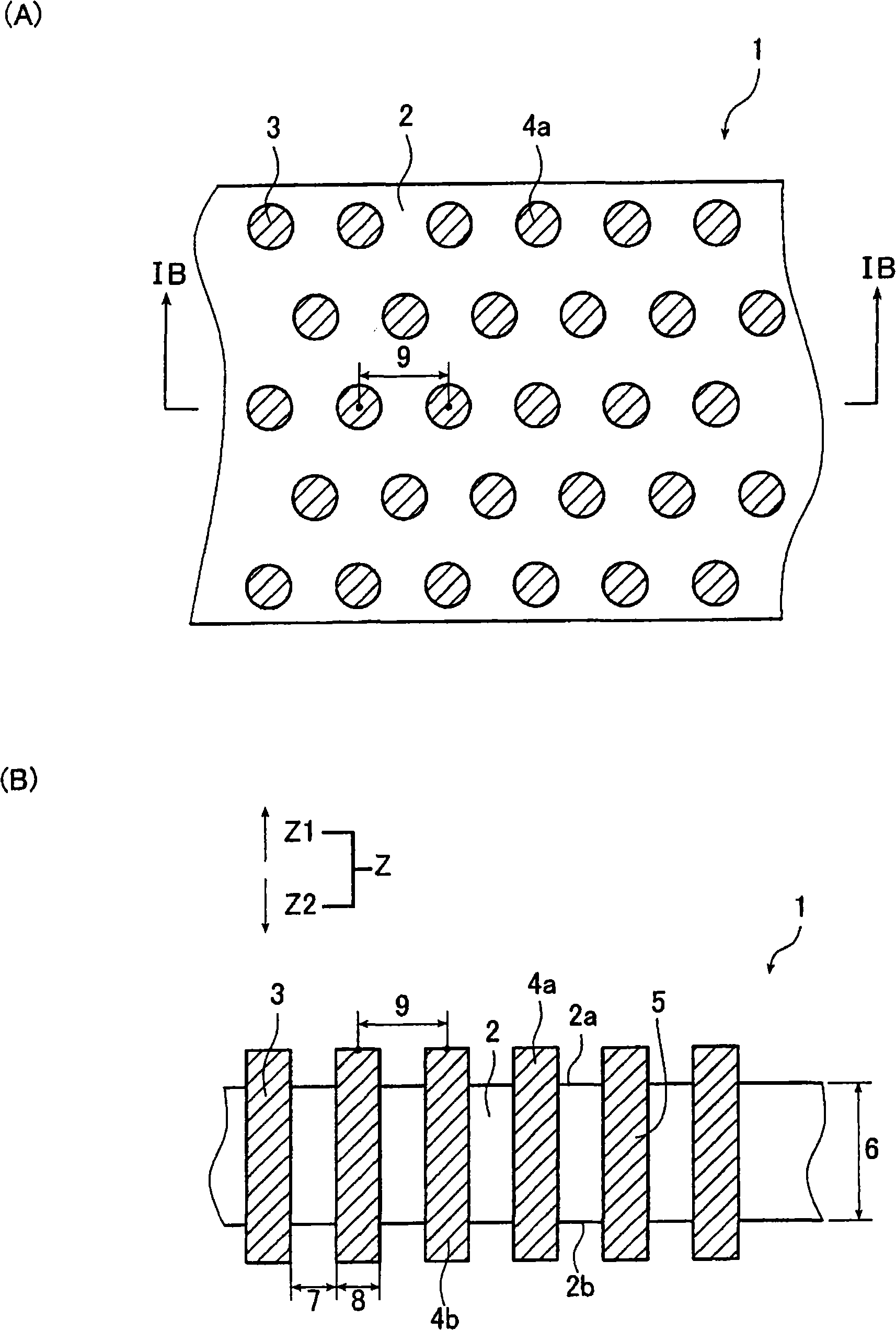 Anisotropically conductive member and method of manufacturing the same