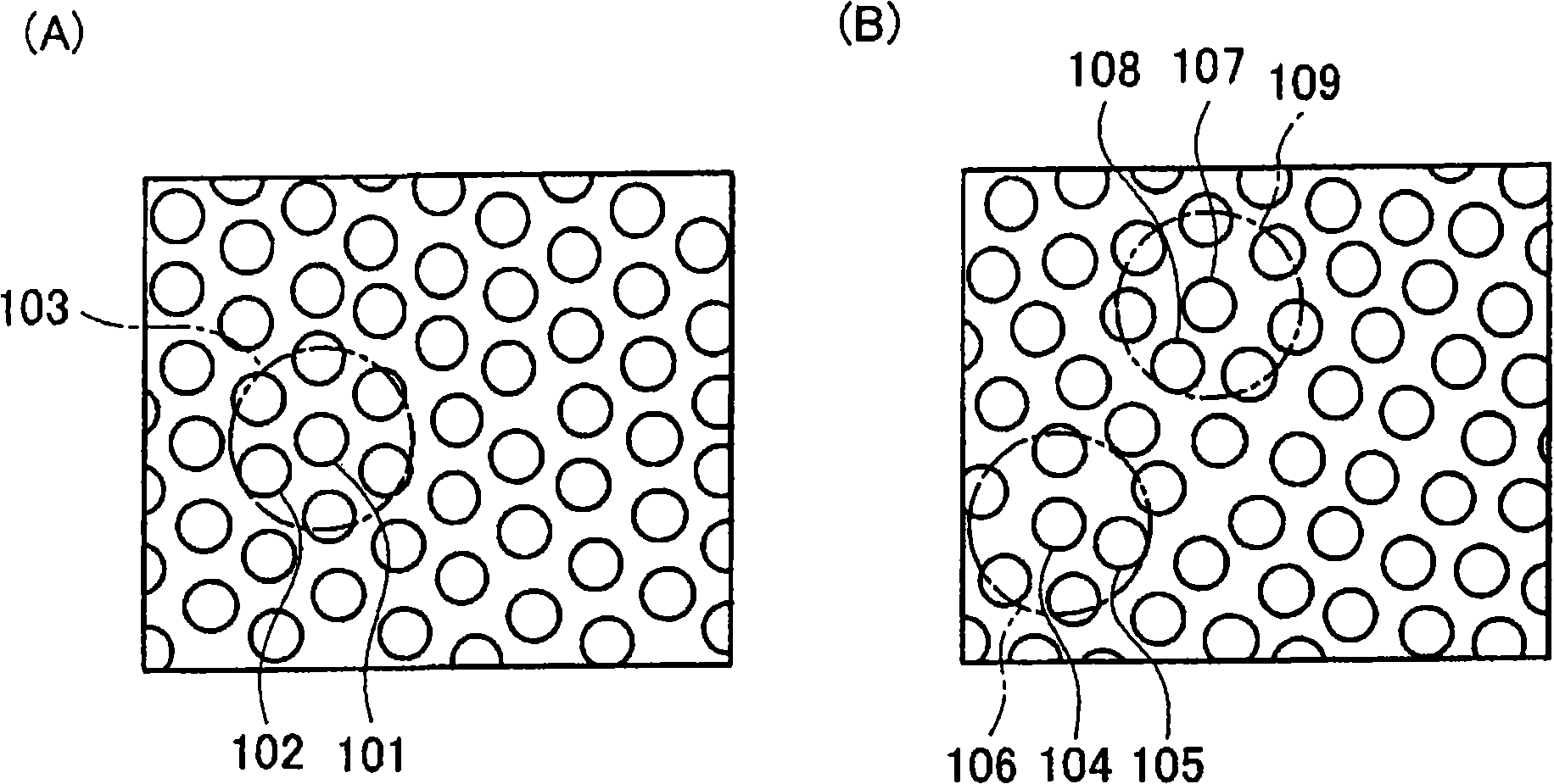 Anisotropically conductive member and method of manufacturing the same