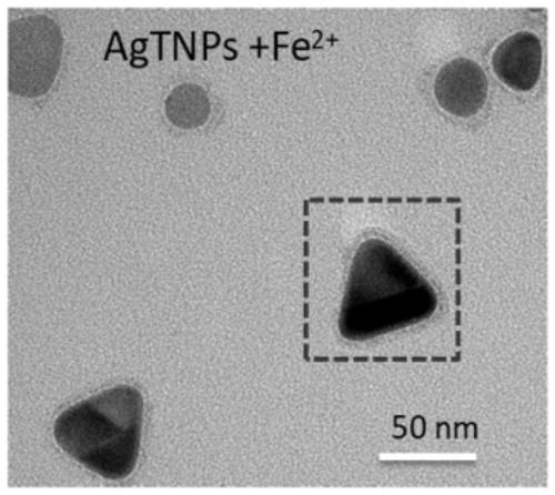 Silver nano triangle protection method based on ferrous ions