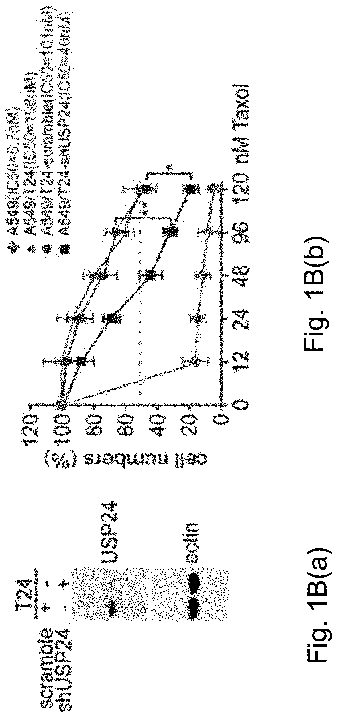 Ubiquitin-specific peptidase 24 inhibitor, medicinal composition including the same and method of delaying or reversing multidrug resistance in cancers using the same