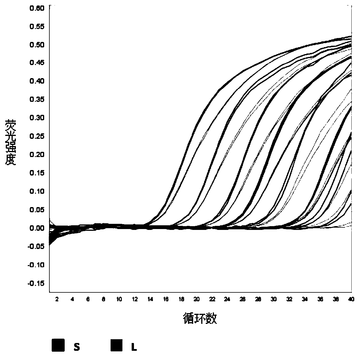 Dual-fluorescence quantitative RT-PCR primers and probes for identifying and detecting rift valley fever virus