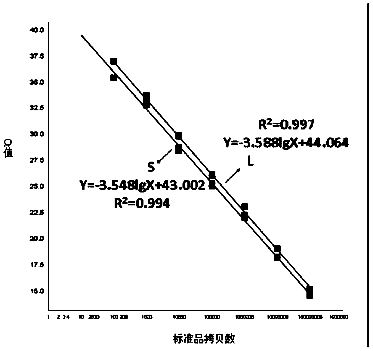 Dual-fluorescence quantitative RT-PCR primers and probes for identifying and detecting rift valley fever virus