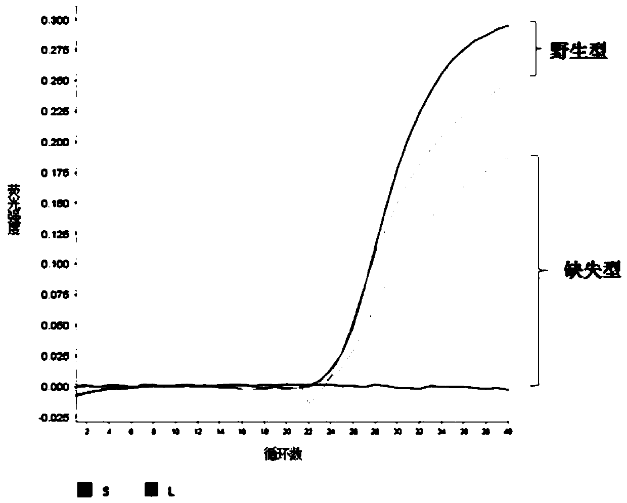 Dual-fluorescence quantitative RT-PCR primers and probes for identifying and detecting rift valley fever virus