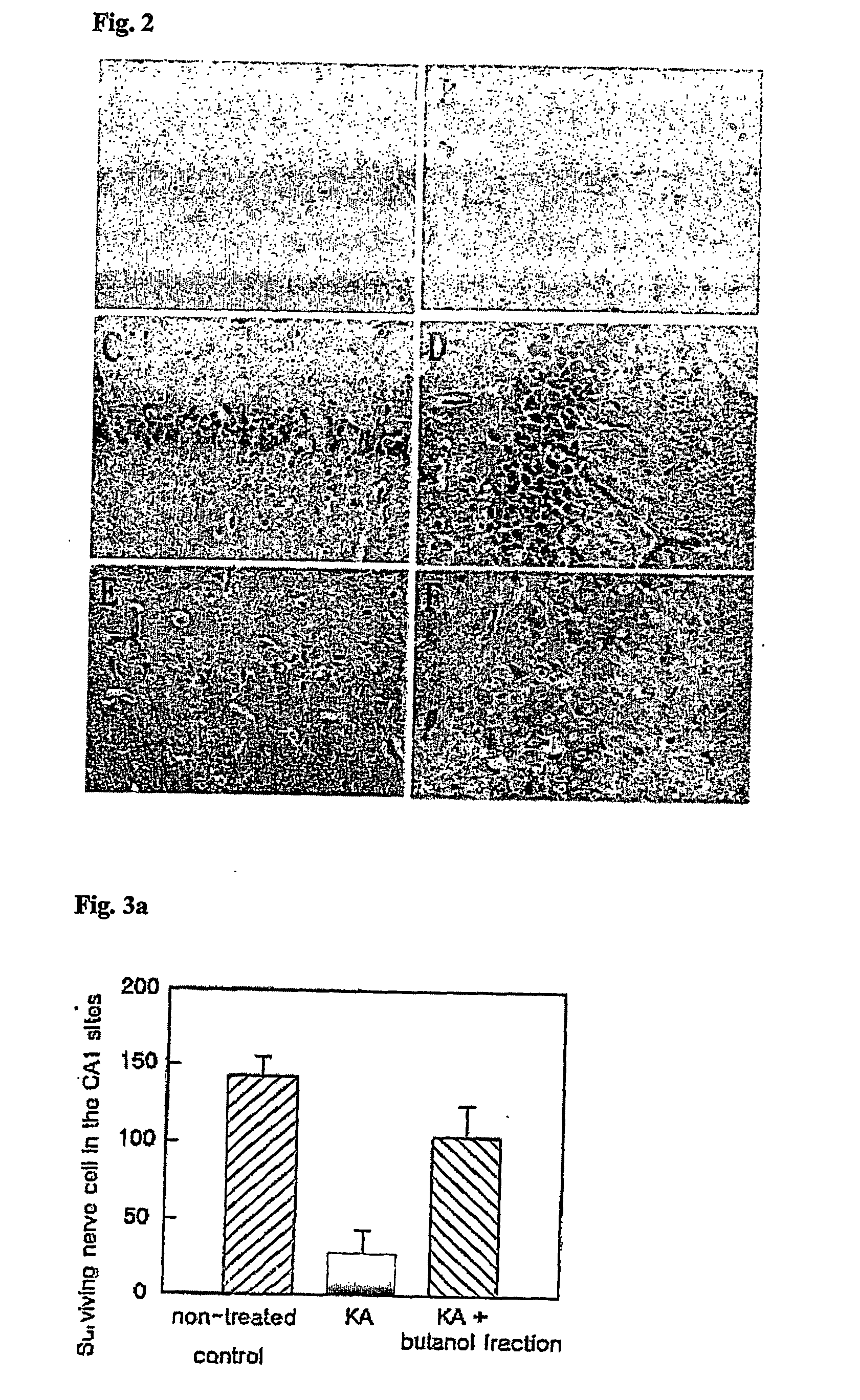 Extract of petasites japonicus having neuroprotective effect and antioxidant activity