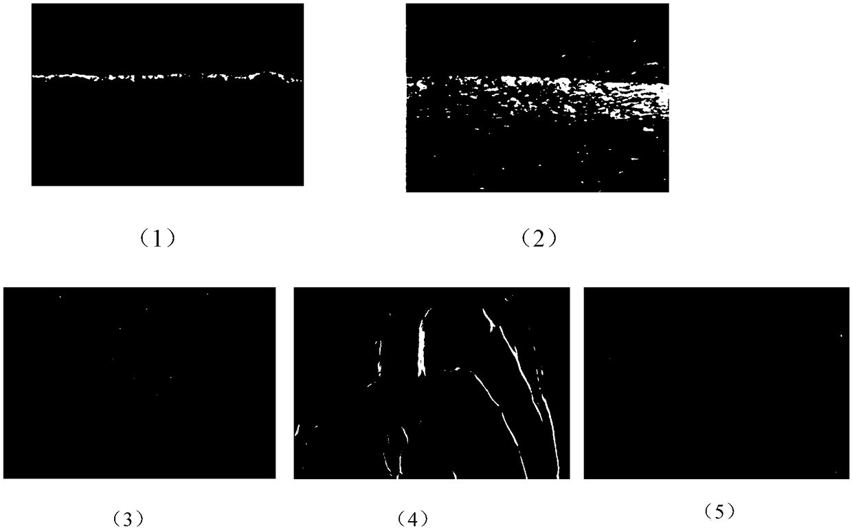 Lithium negative electrode preform, preparation method thereof, lithium negative electrode, and lithium secondary battery