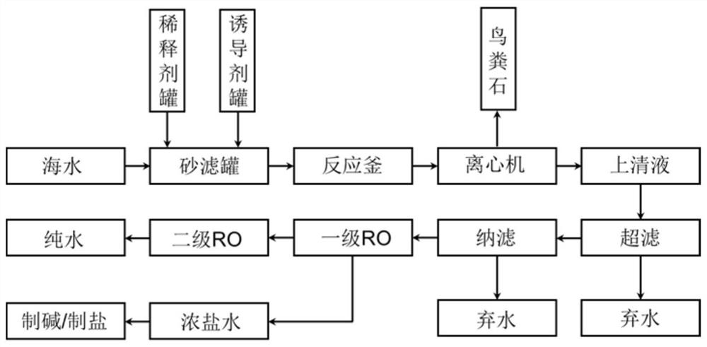 Technological process for struvite extraction in seawater desalination process