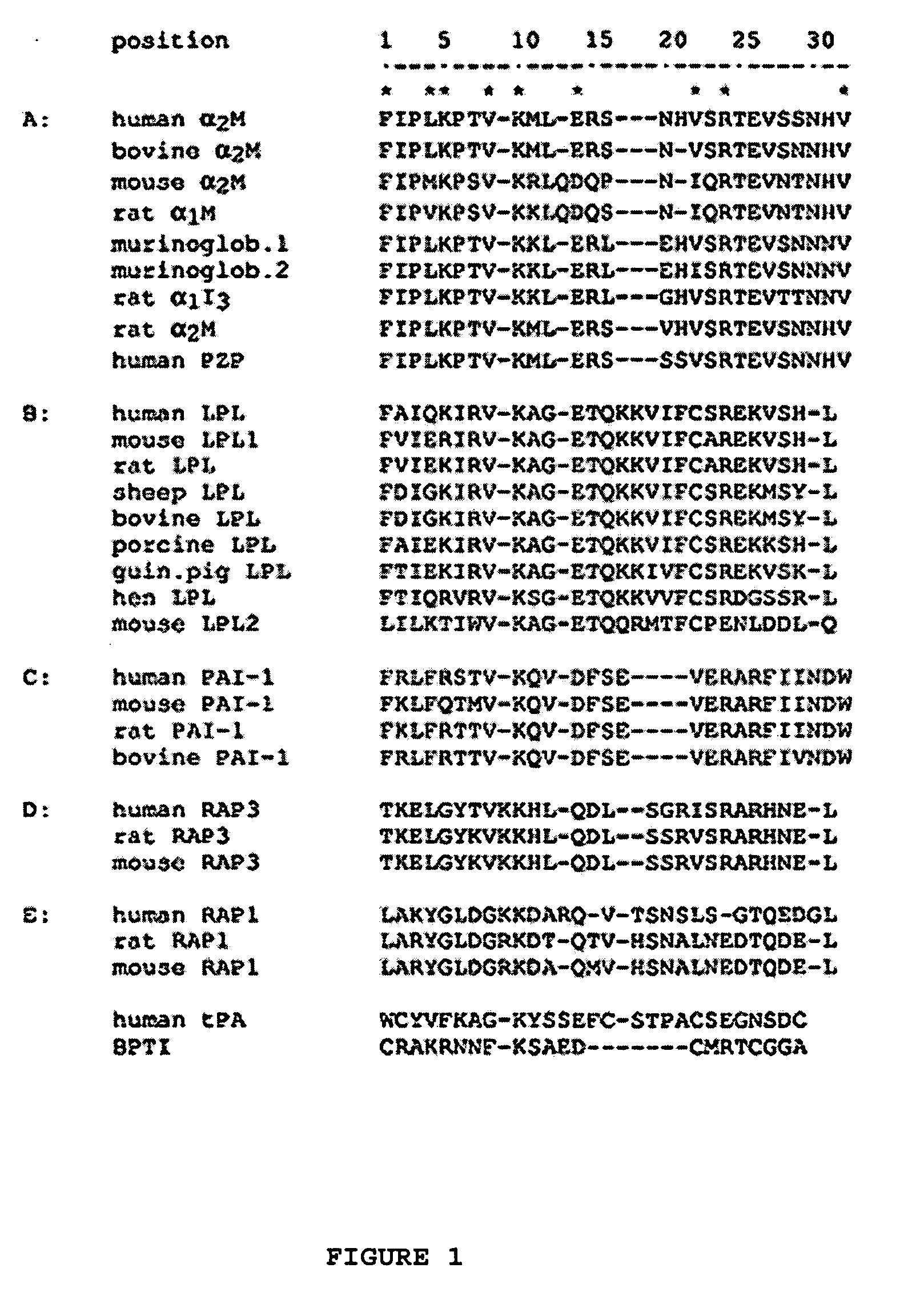 Compositions and methods for targeting a polypeptide to the central nervous system