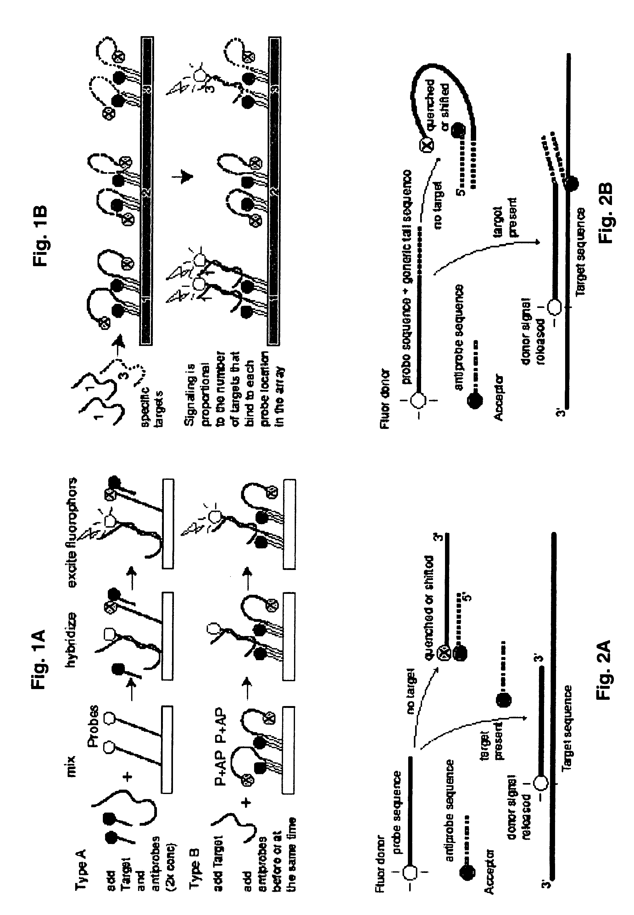 Probe-antiprobe compositions and methods for DNA or RNA detection