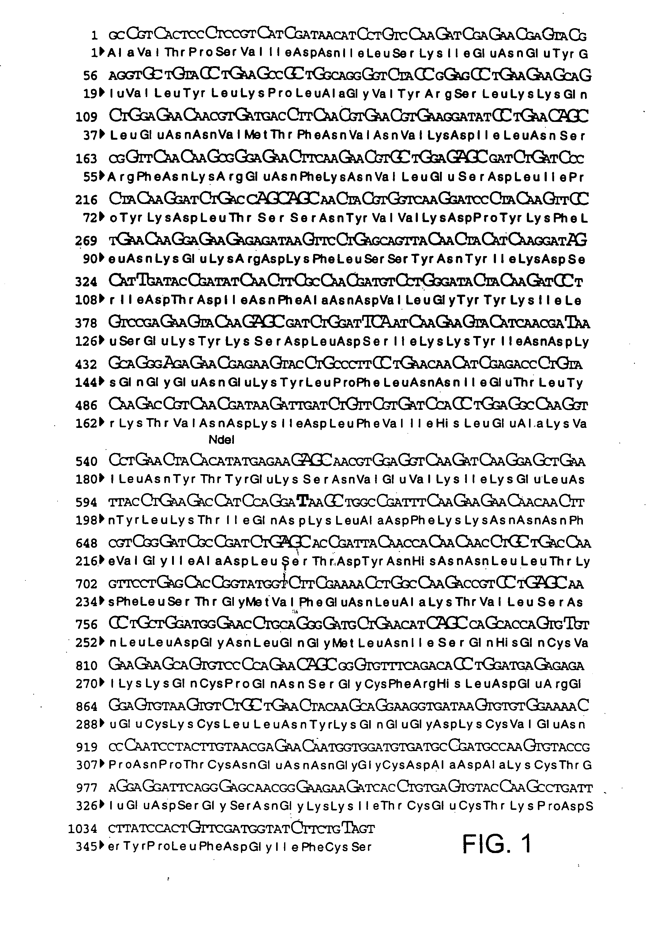 Novel modified nucleic acid sequences and methods for increasing mRNA levels and protein expression in cell systems